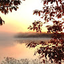 Kathy Hanon
