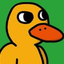 TheDuckFromThatDuckSong